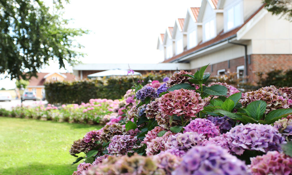 Fangel Kro & Hotel Bellinge エクステリア 写真